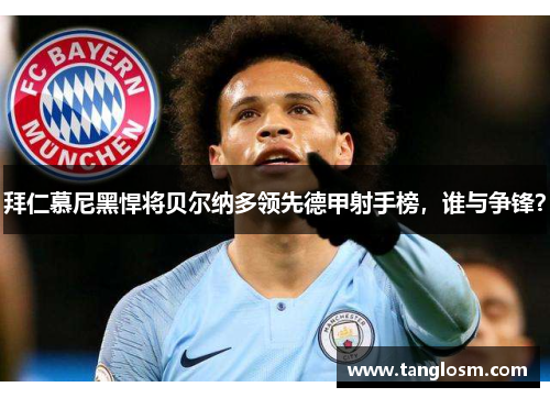 拜仁慕尼黑悍将贝尔纳多领先德甲射手榜，谁与争锋？
