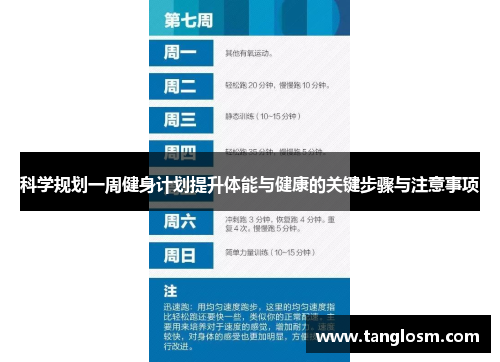 科学规划一周健身计划提升体能与健康的关键步骤与注意事项