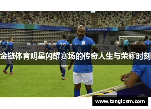 金链体育明星闪耀赛场的传奇人生与荣耀时刻