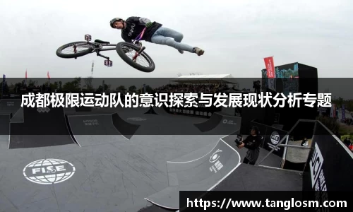 成都极限运动队的意识探索与发展现状分析专题